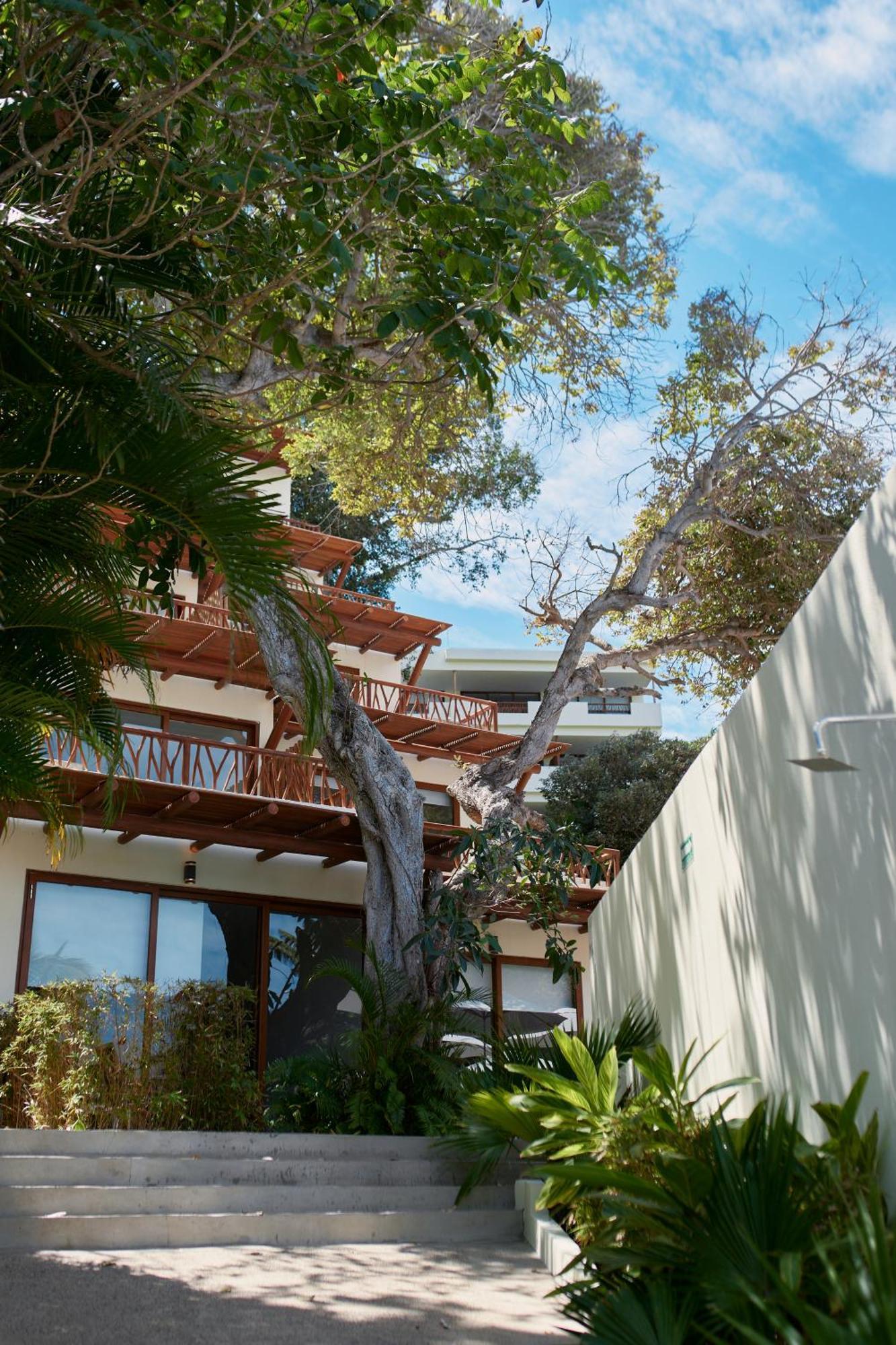 Ysuri Sayulita - Beachfront Hotel Kültér fotó